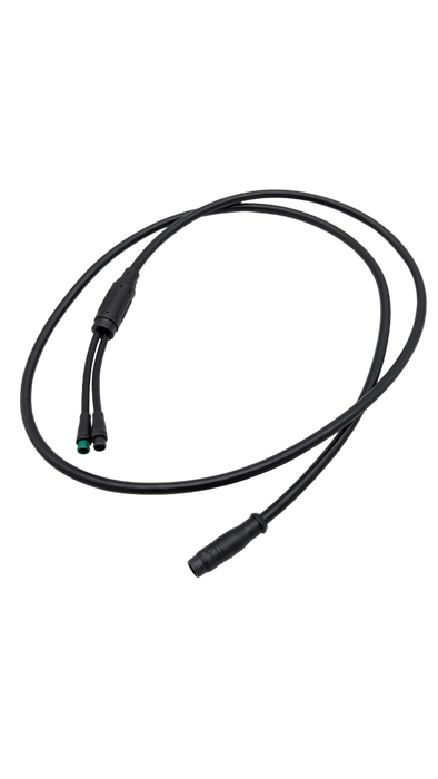 CÂBLE DISPLAY EY1 | DUALTRON DOLPHIN