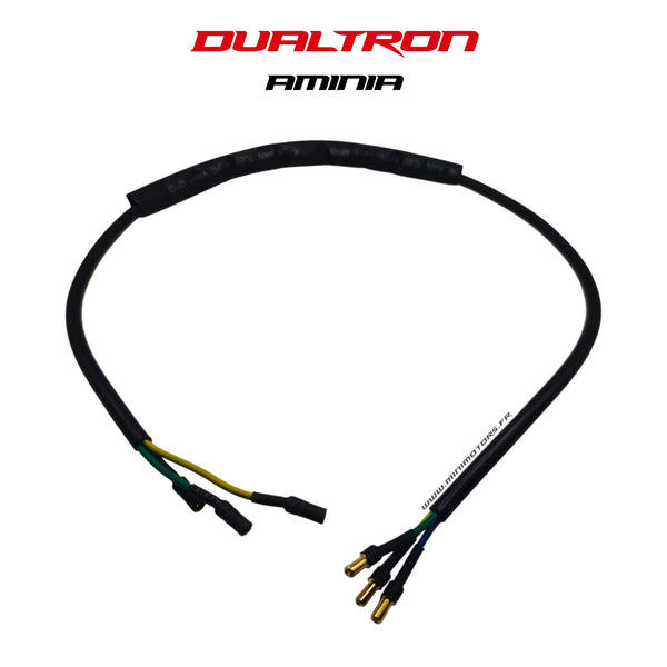 Cable Controleur <-> moteur | DUALTRON AMINIA