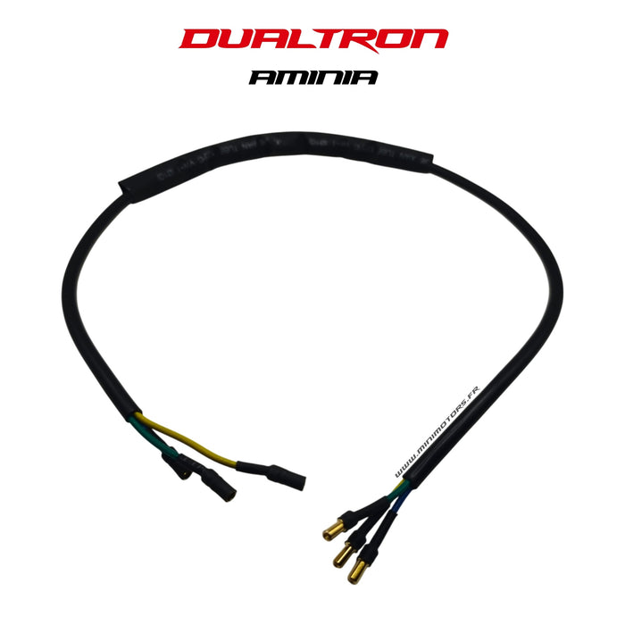 Cable Controleur <-> moteur | DUALTRON AMINIA