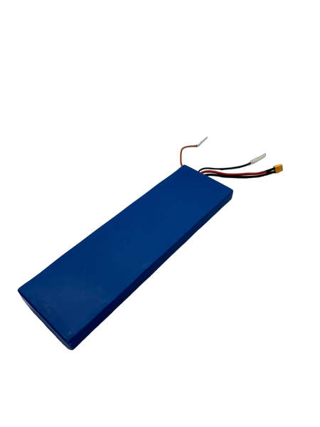 BATTERIE 48V12AH | DUALTRON TOGO PLUS