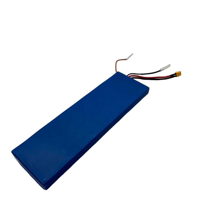 BATTERIE 48V12AH | DUALTRON TOGO PLUS