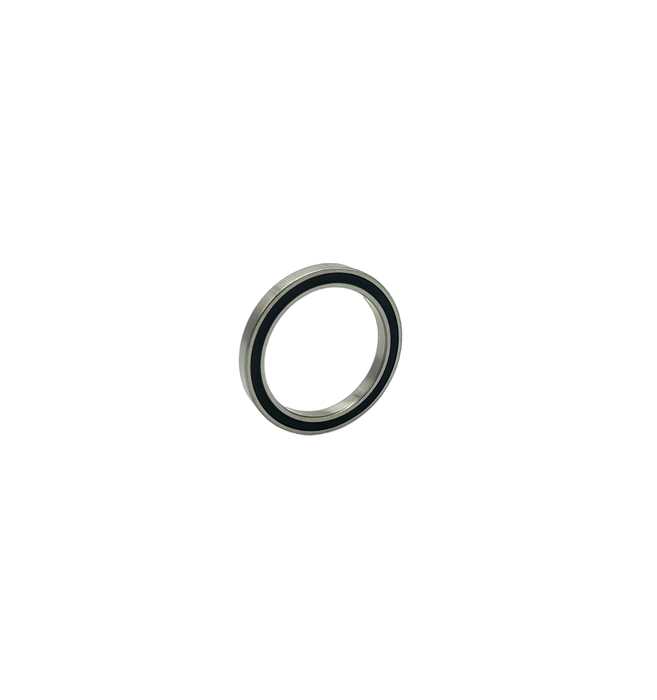 ROULEMENT MOTEUR | DUALTRON STORM